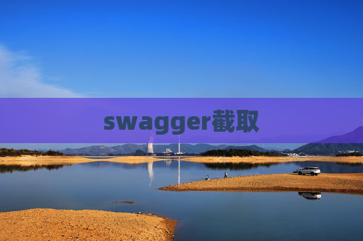 swagger截取